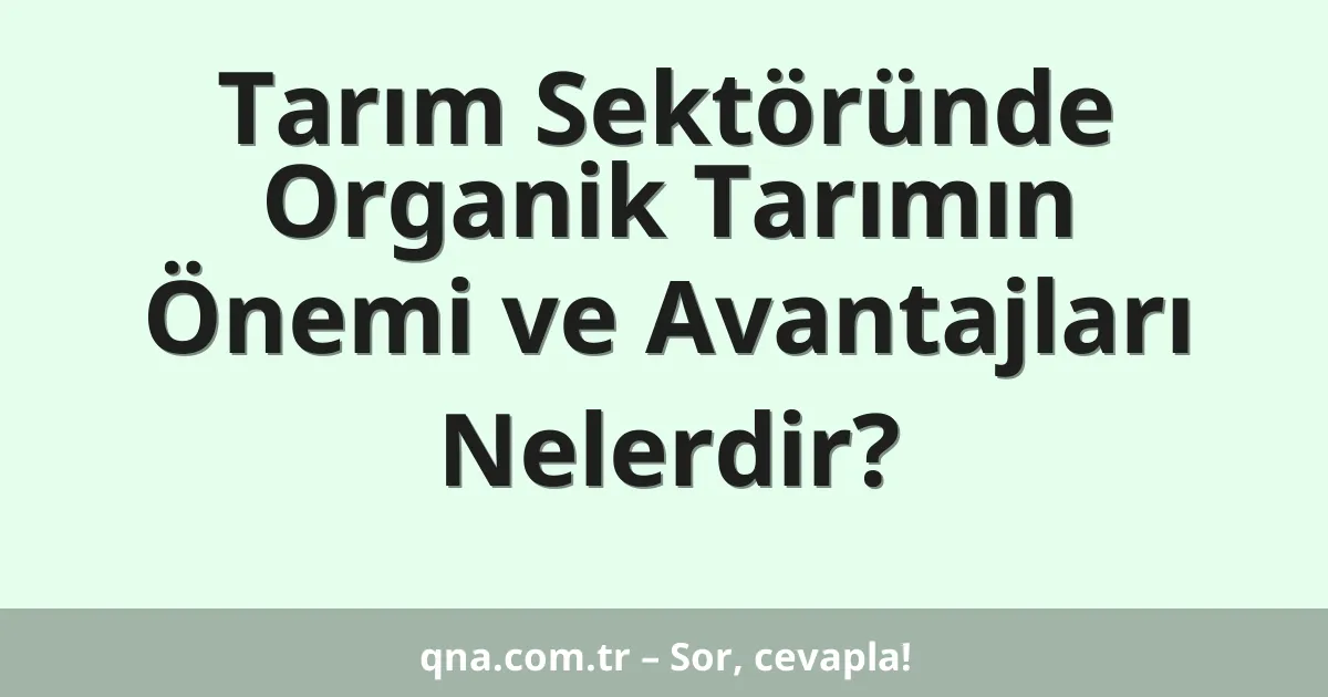 Tarım Sektöründe Organik Tarımın Önemi ve Avantajları Nelerdir?