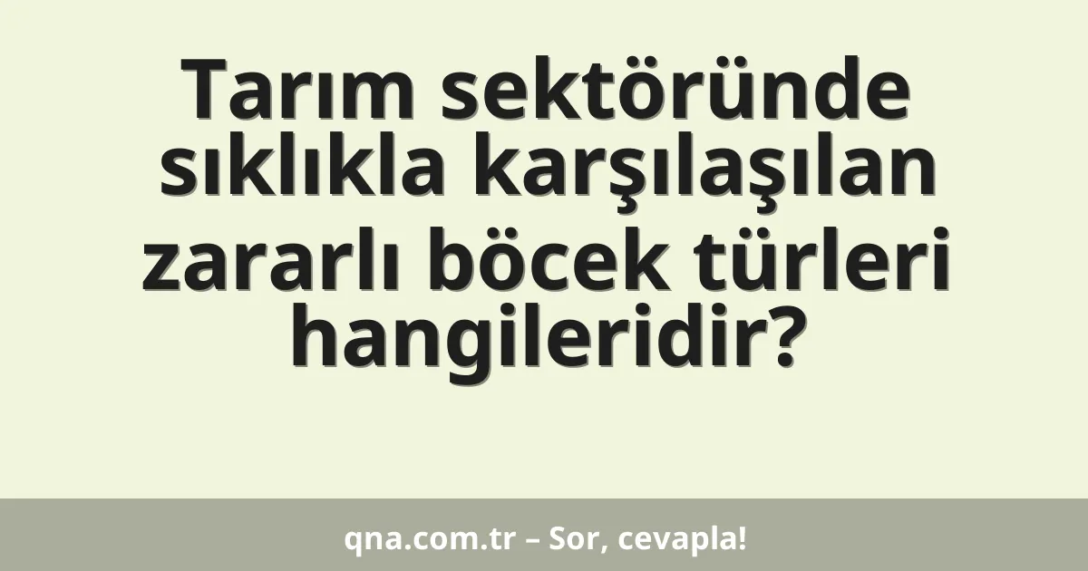 Tarım sektöründe sıklıkla karşılaşılan zararlı böcek türleri hangileridir?