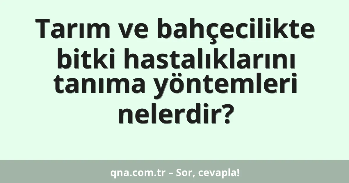 Tarım ve bahçecilikte bitki hastalıklarını tanıma yöntemleri nelerdir?