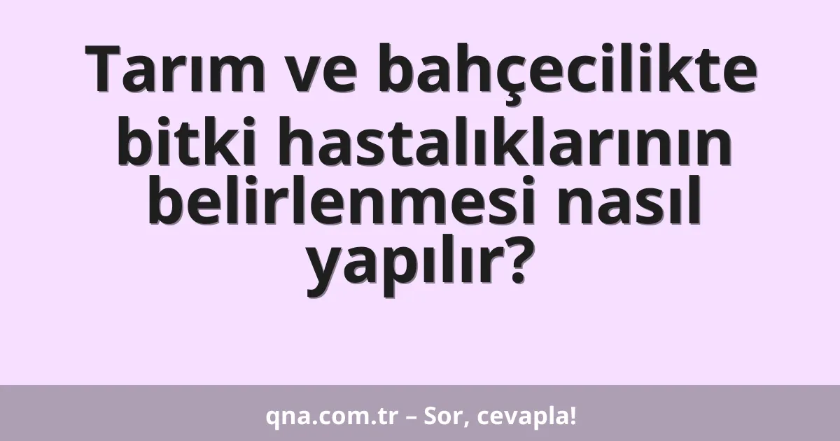 Tarım ve bahçecilikte bitki hastalıklarının belirlenmesi nasıl yapılır?