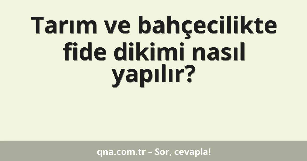 Tarım ve bahçecilikte fide dikimi nasıl yapılır?