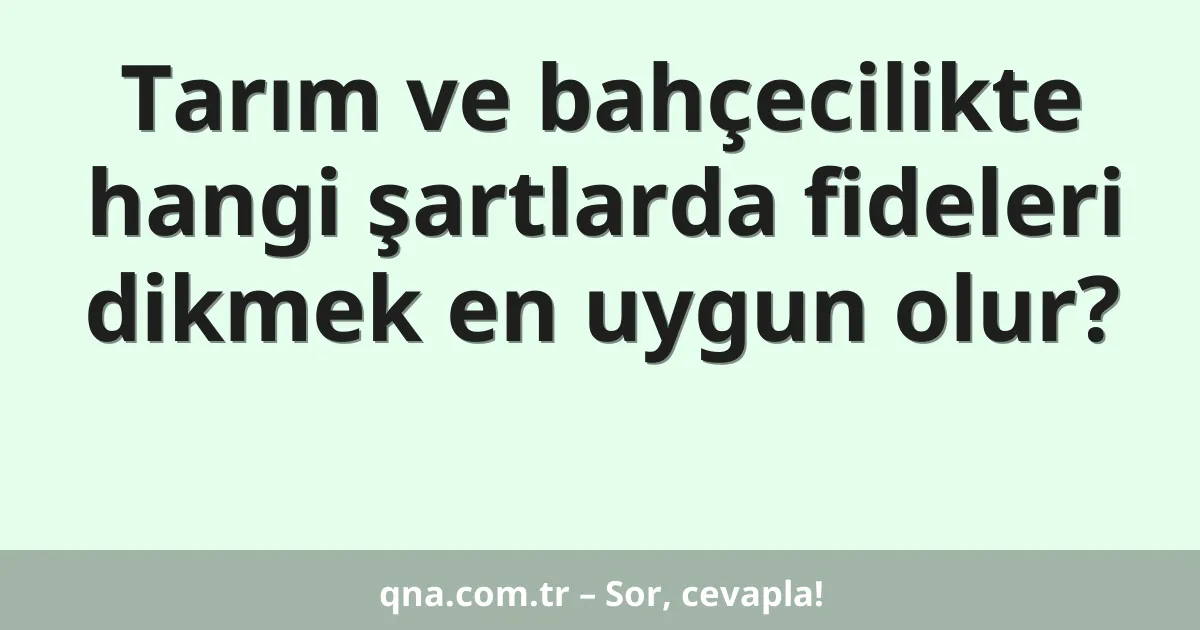 Tarım ve bahçecilikte hangi şartlarda fideleri dikmek en uygun olur?