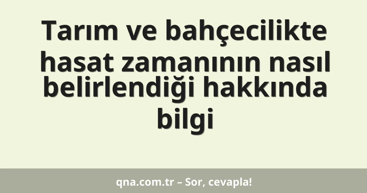 Tarım ve bahçecilikte hasat zamanının nasıl belirlendiği hakkında bilgi