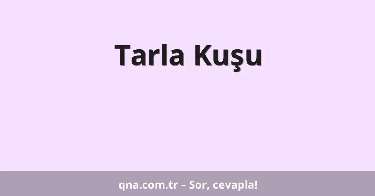 Tarla Kuşu