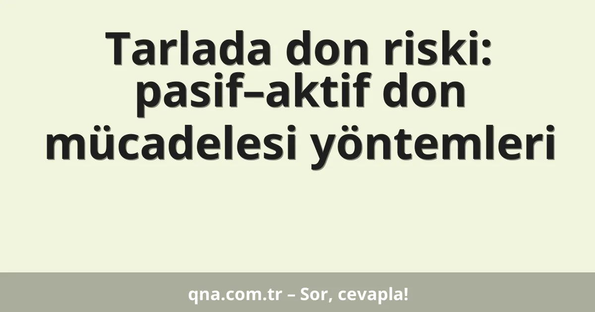 Tarlada don riski: pasif–aktif don mücadelesi yöntemleri