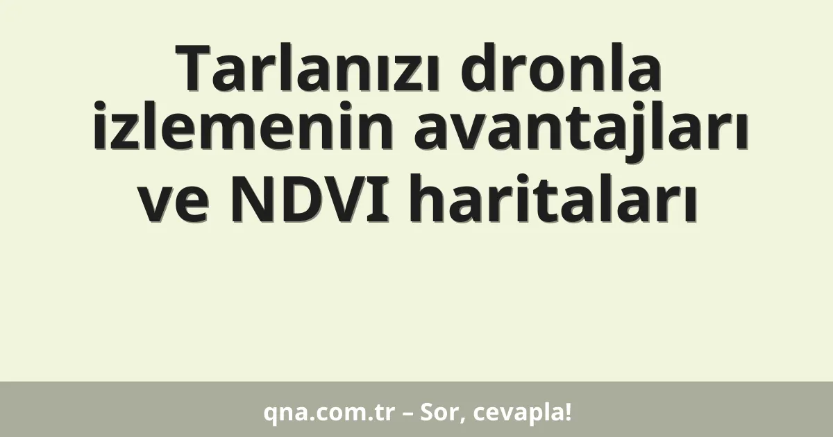 Tarlanızı dronla izlemenin avantajları ve NDVI haritaları