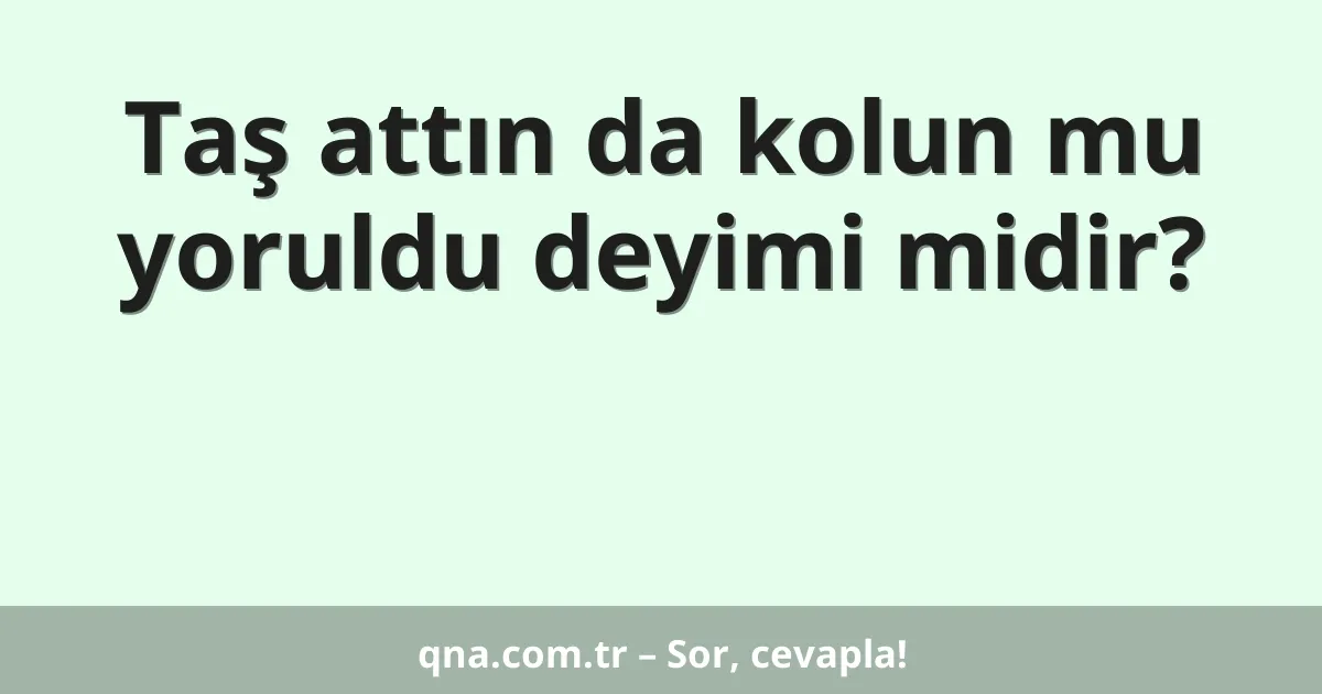 Taş attın da kolun mu yoruldu deyimi midir?