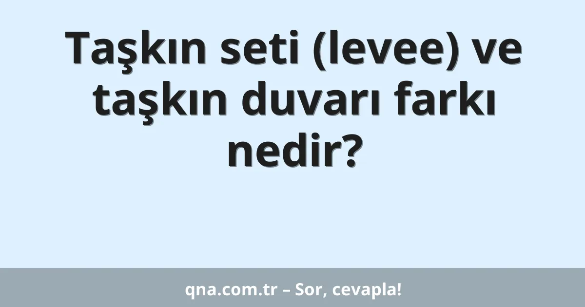 Taşkın seti (levee) ve taşkın duvarı farkı nedir?