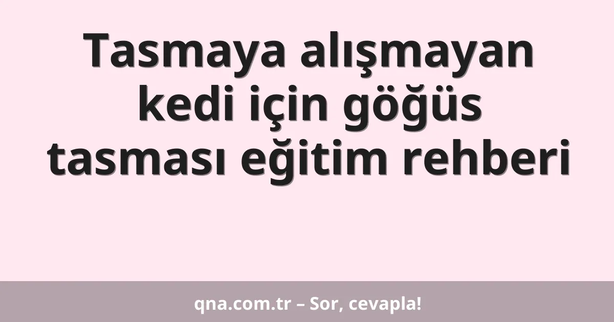 Tasmaya alışmayan kedi için göğüs tasması eğitim rehberi