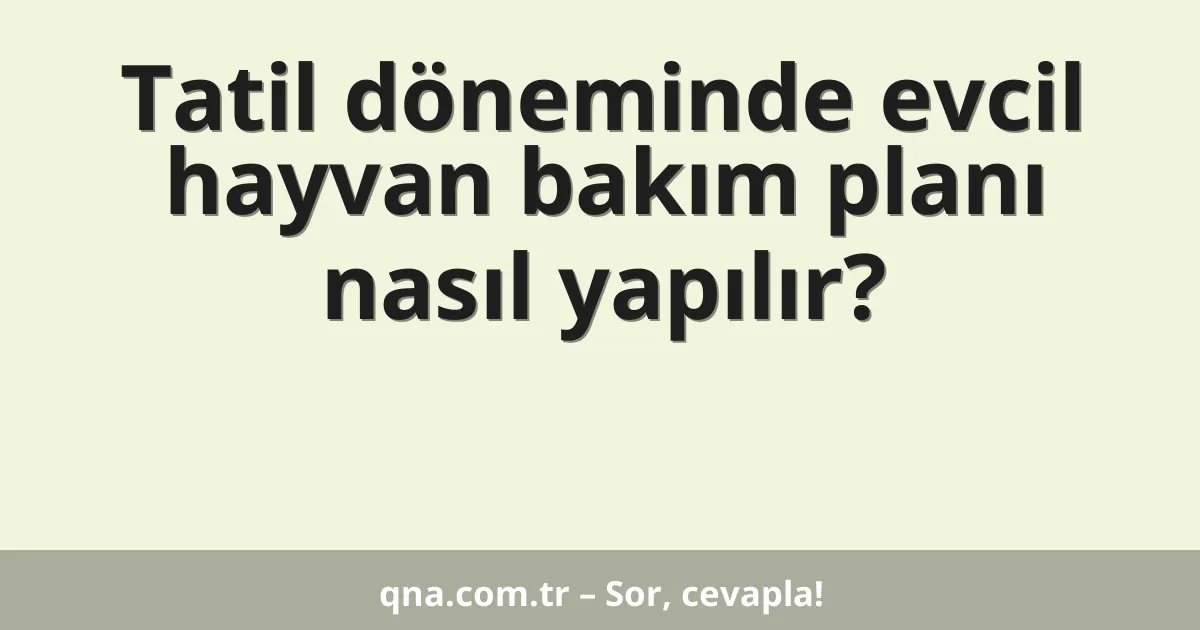 Tatil döneminde evcil hayvan bakım planı nasıl yapılır?