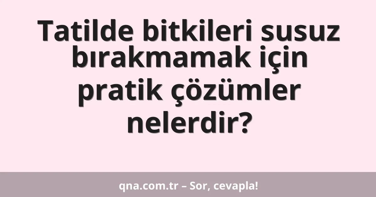 Tatilde bitkileri susuz bırakmamak için pratik çözümler nelerdir?