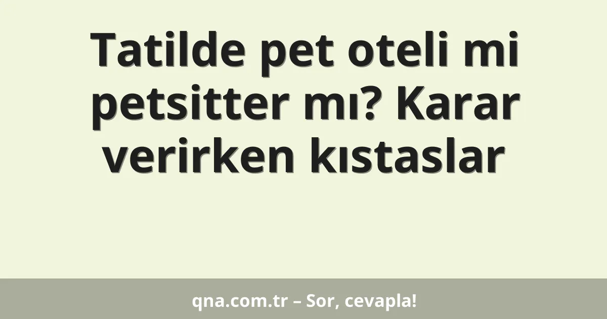 Tatilde pet oteli mi petsitter mı? Karar verirken kıstaslar
