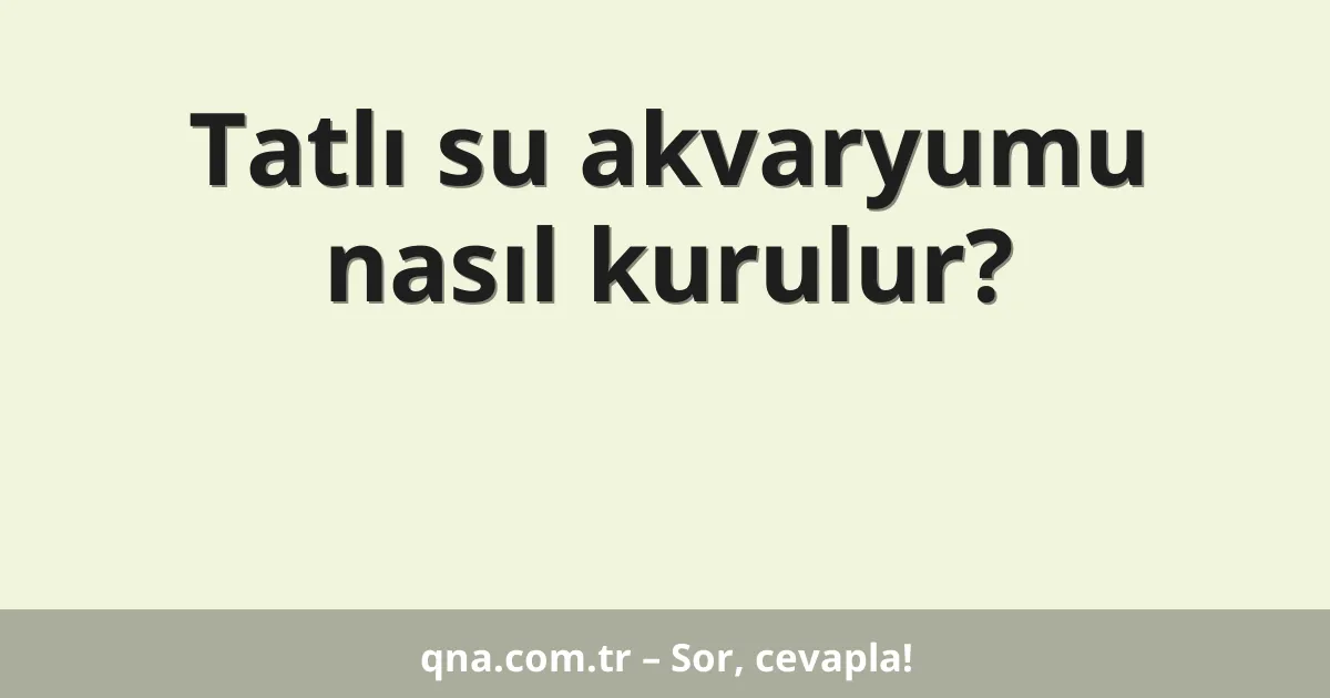 Tatlı su akvaryumu nasıl kurulur?