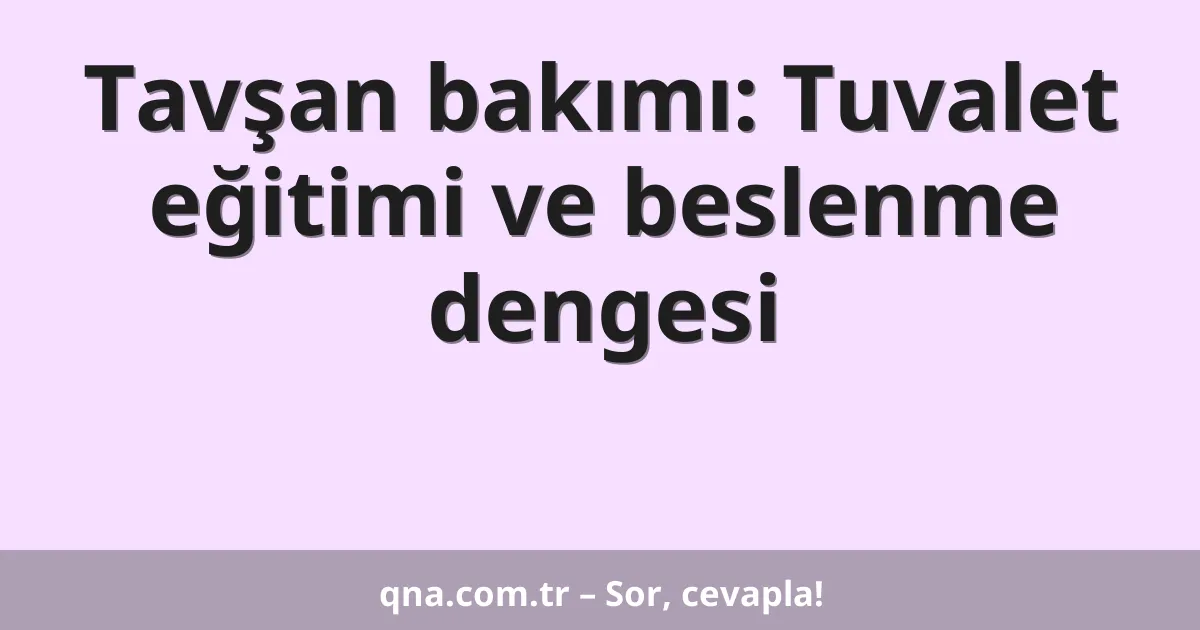 Tavşan bakımı: Tuvalet eğitimi ve beslenme dengesi