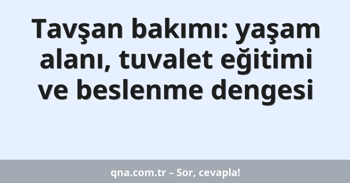Tavşan bakımı: yaşam alanı, tuvalet eğitimi ve beslenme dengesi