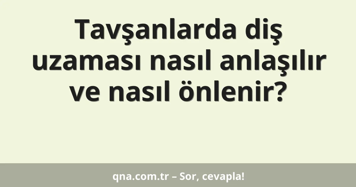 Tavşanlarda diş uzaması nasıl anlaşılır ve nasıl önlenir?