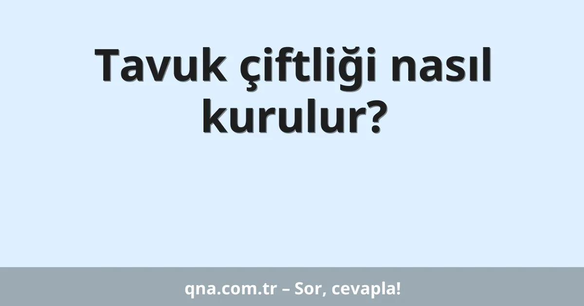 Tavuk çiftliği nasıl kurulur?