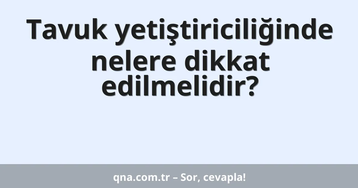 Tavuk yetiştiriciliğinde nelere dikkat edilmelidir?