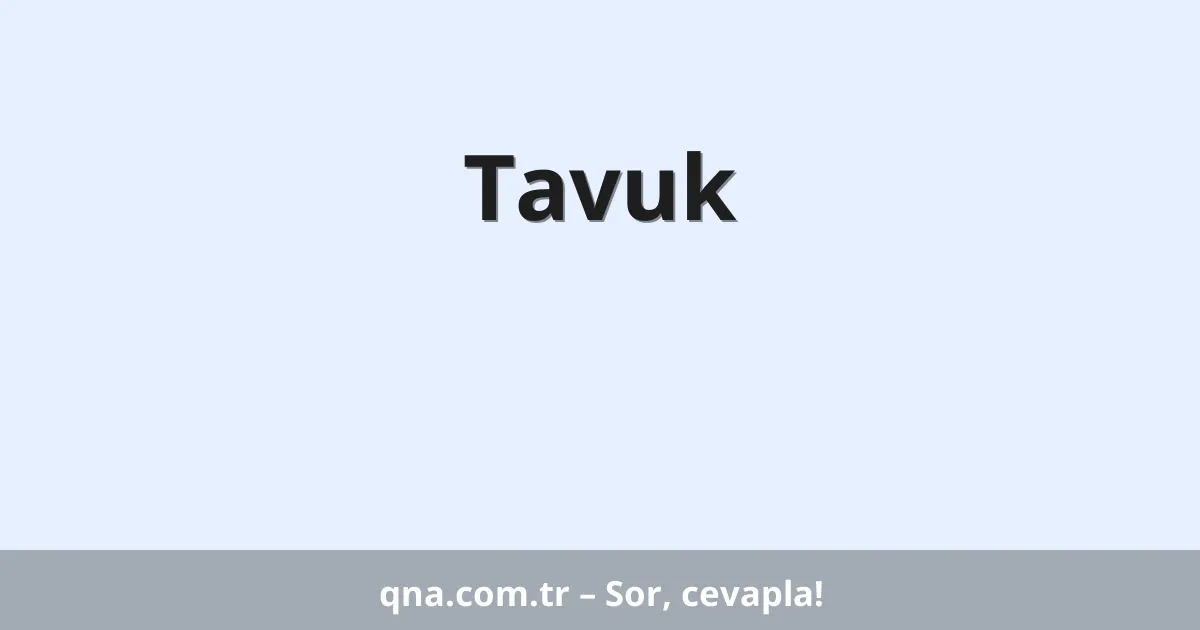 Tavuk