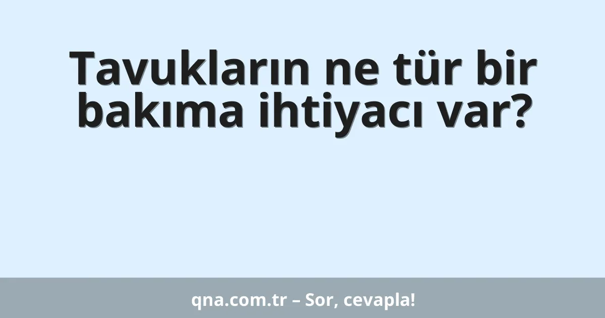 Tavukların ne tür bir bakıma ihtiyacı var?