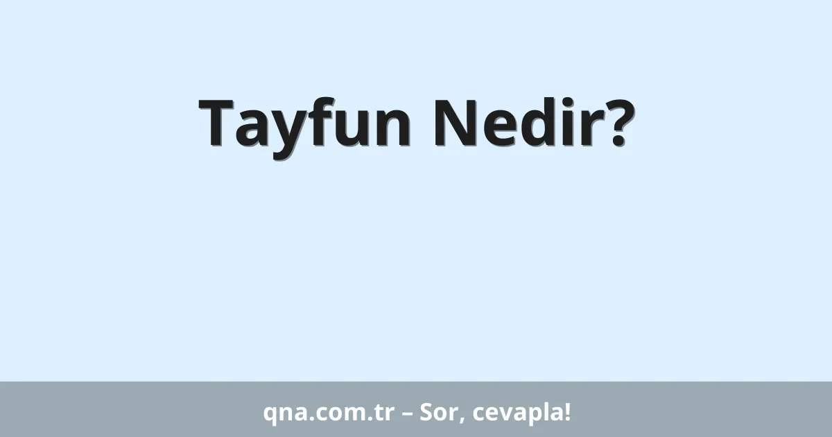Tayfun Nedir?