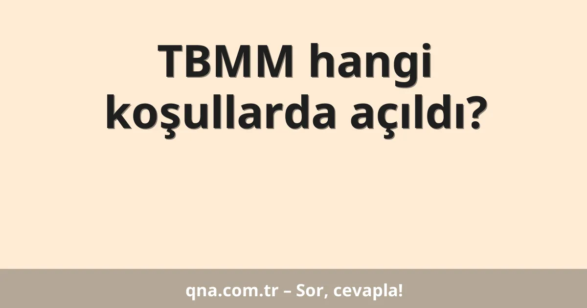 TBMM hangi koşullarda açıldı?