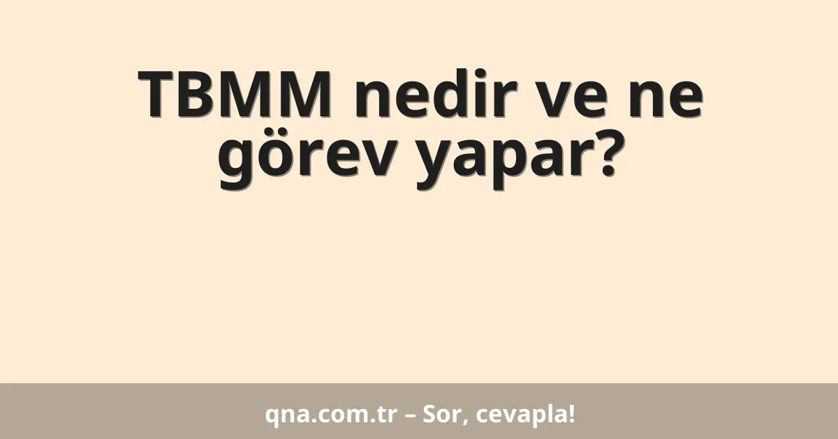TBMM nedir ve ne görev yapar?