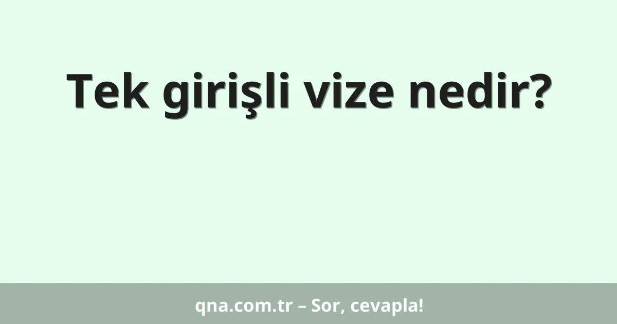 Tek girişli vize nedir?