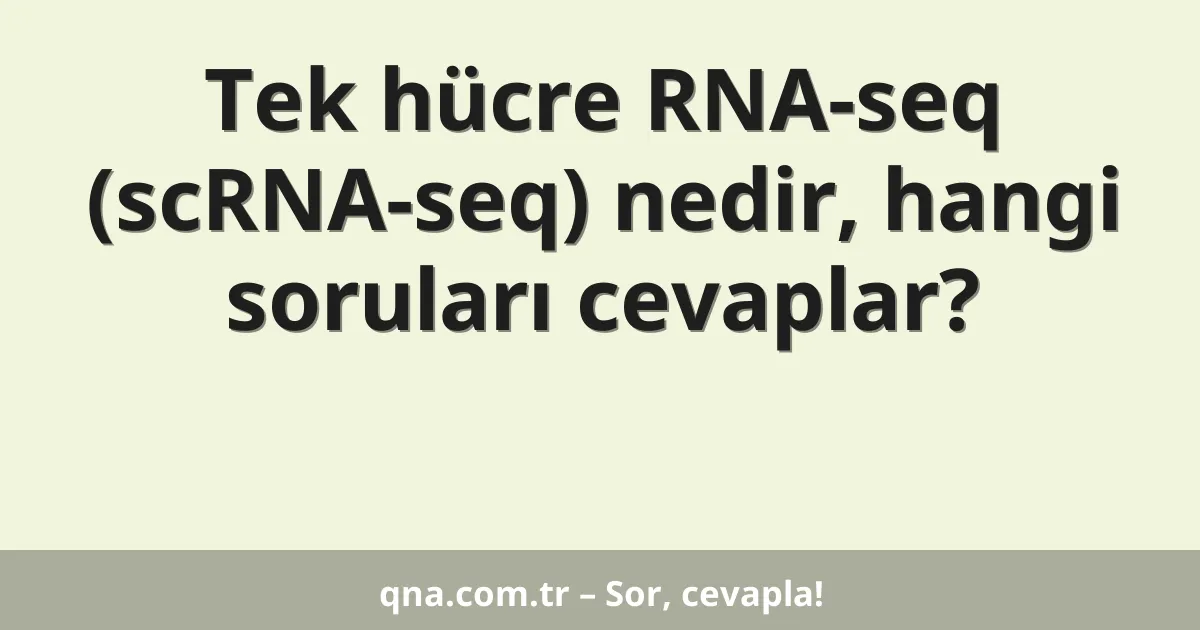 Tek hücre RNA-seq (scRNA-seq) nedir, hangi soruları cevaplar?