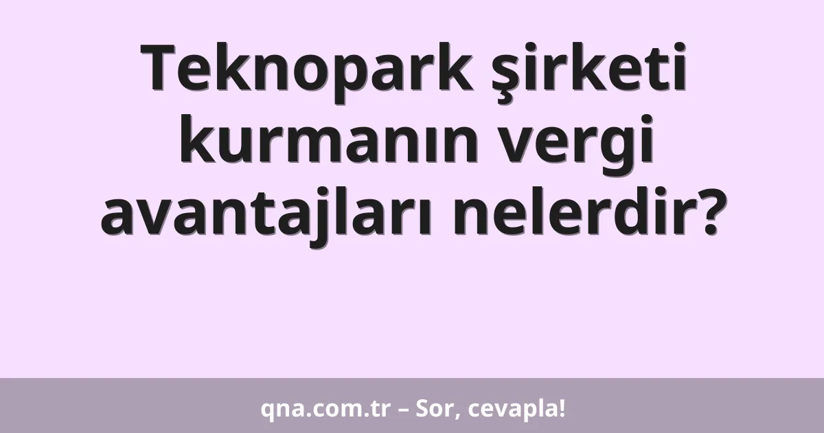 Teknopark şirketi kurmanın vergi avantajları nelerdir?