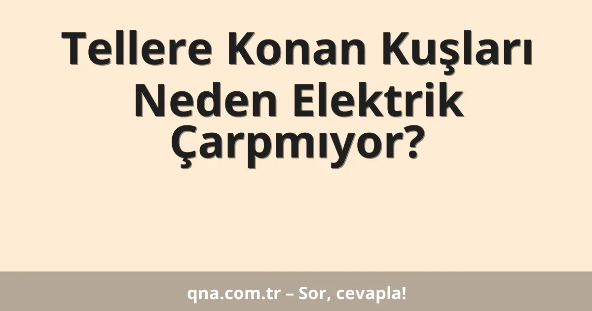 Tellere Konan Kuşları Neden Elektrik Çarpmıyor?