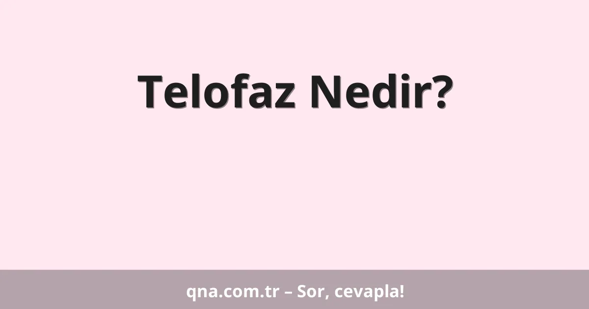 Telofaz Nedir?