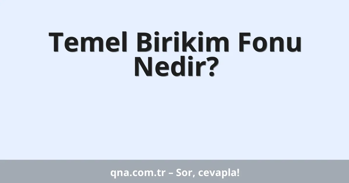 Temel Birikim Fonu Nedir?