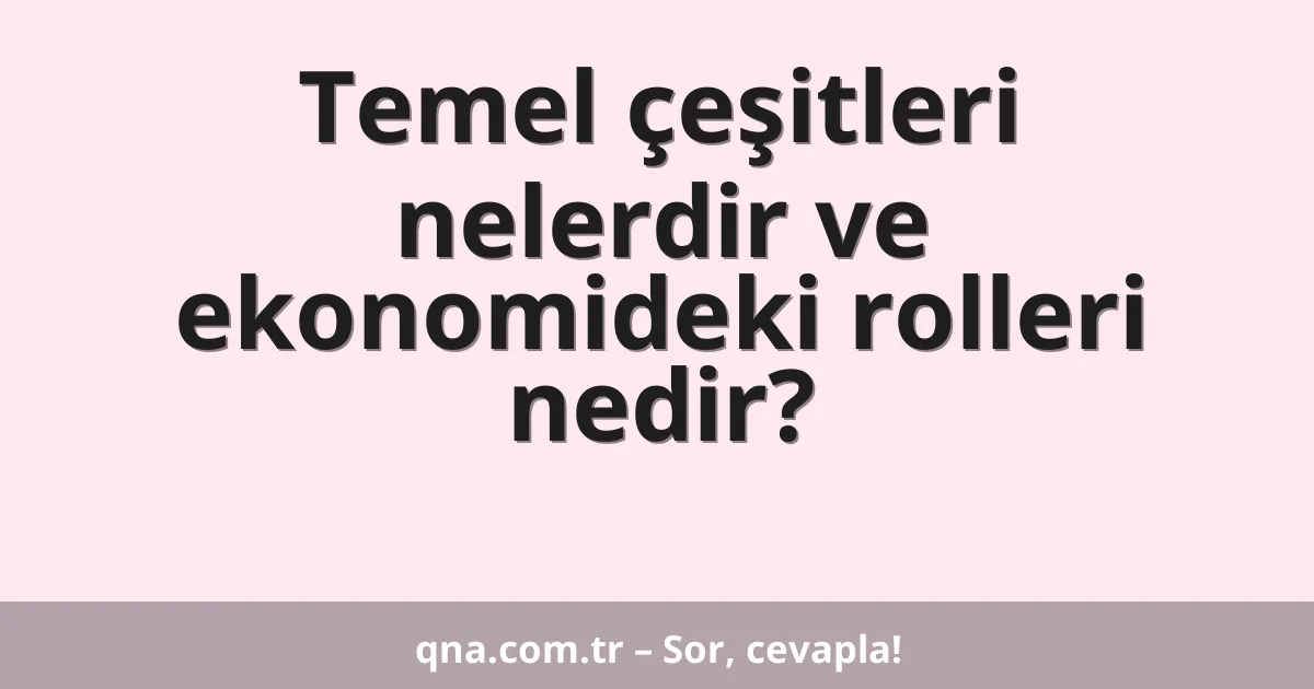 Temel çeşitleri nelerdir ve ekonomideki rolleri nedir?
