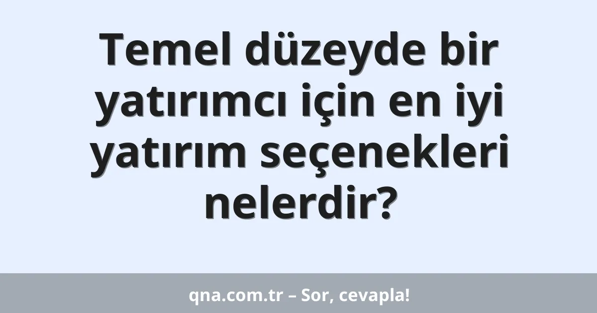 Temel düzeyde bir yatırımcı için en iyi yatırım seçenekleri nelerdir?