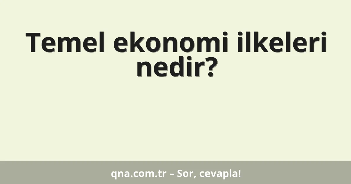 Temel ekonomi ilkeleri nedir?