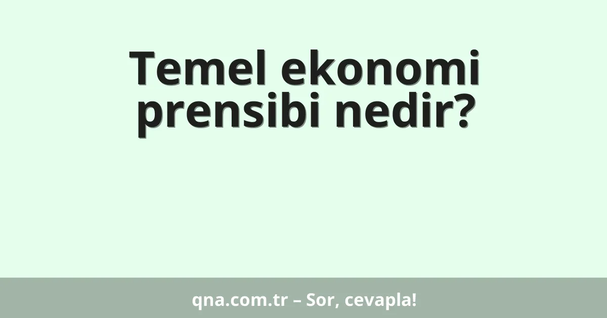 Temel ekonomi prensibi nedir?