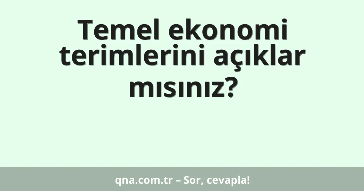 Temel ekonomi terimlerini açıklar mısınız?