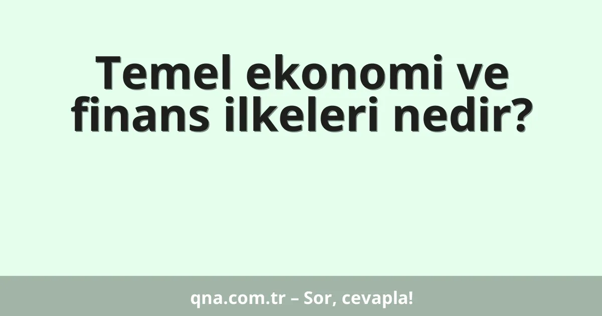 Temel ekonomi ve finans ilkeleri nedir?