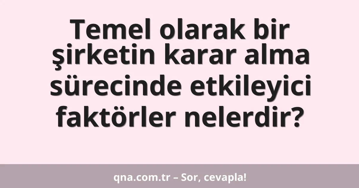 Temel olarak bir şirketin karar alma sürecinde etkileyici faktörler nelerdir?