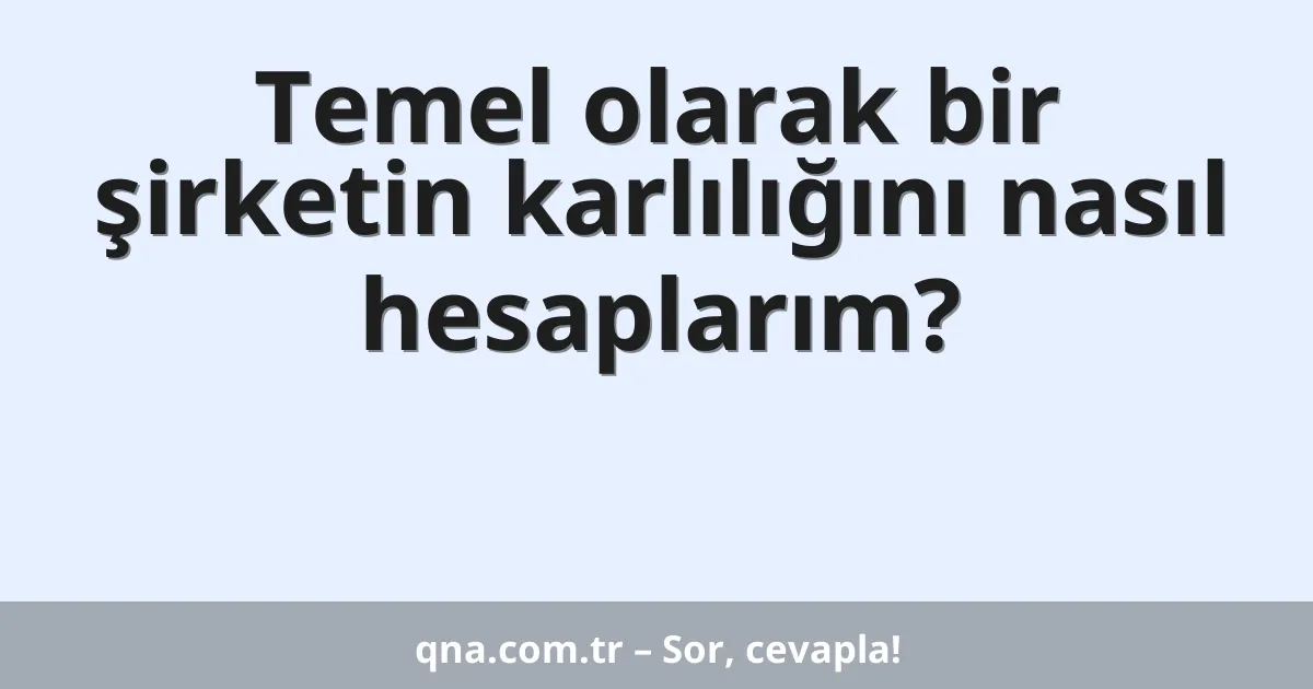 Temel olarak bir şirketin karlılığını nasıl hesaplarım?