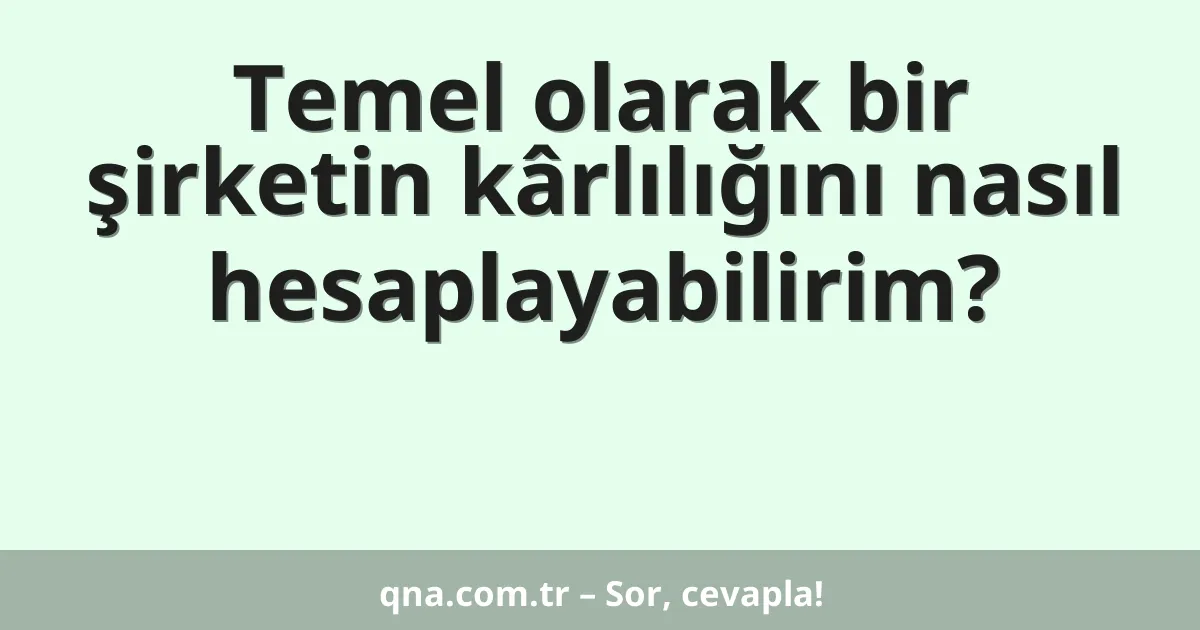 Temel olarak bir şirketin kârlılığını nasıl hesaplayabilirim?