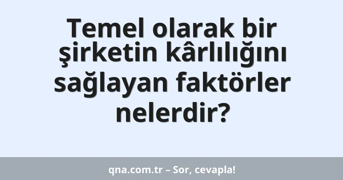 Temel olarak bir şirketin kârlılığını sağlayan faktörler nelerdir?