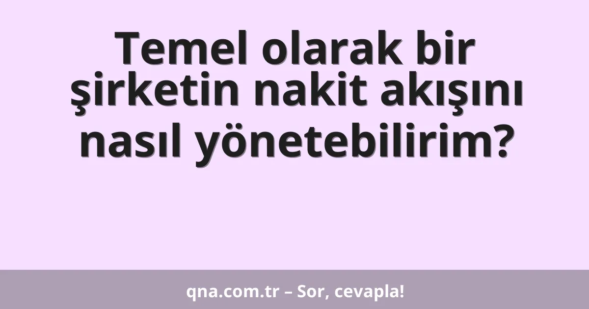 Temel olarak bir şirketin nakit akışını nasıl yönetebilirim?