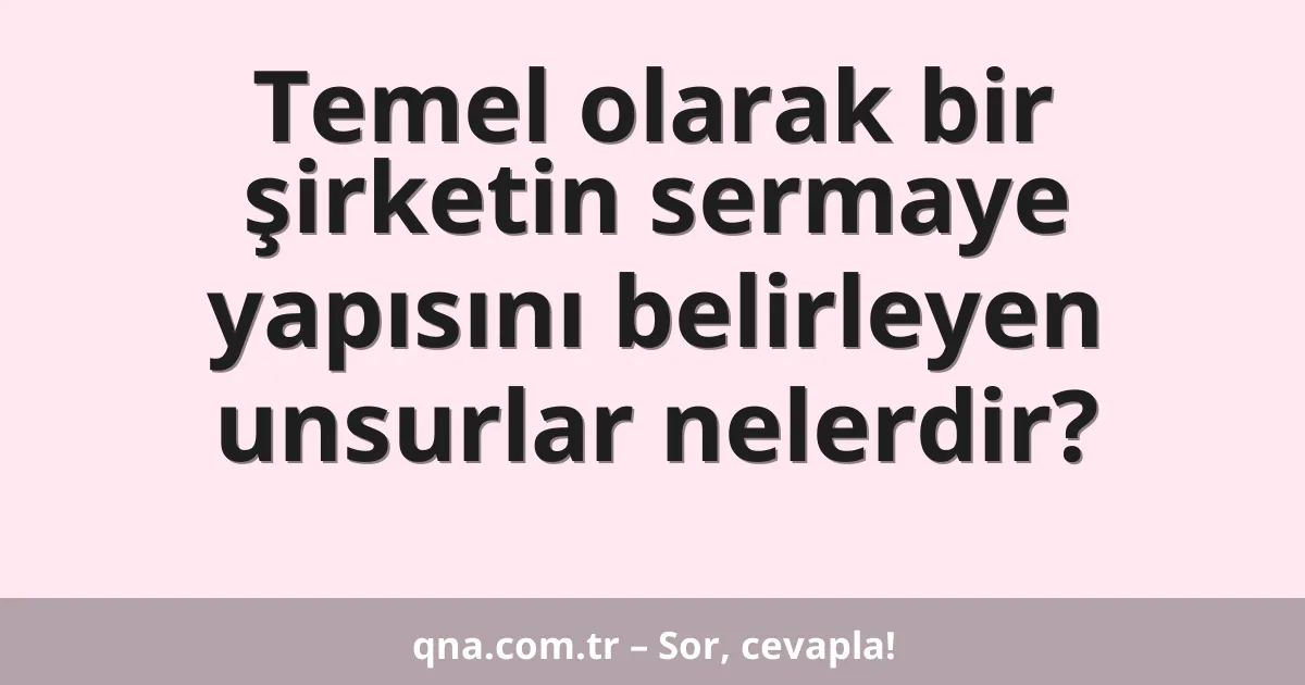 Temel olarak bir şirketin sermaye yapısını belirleyen unsurlar nelerdir?