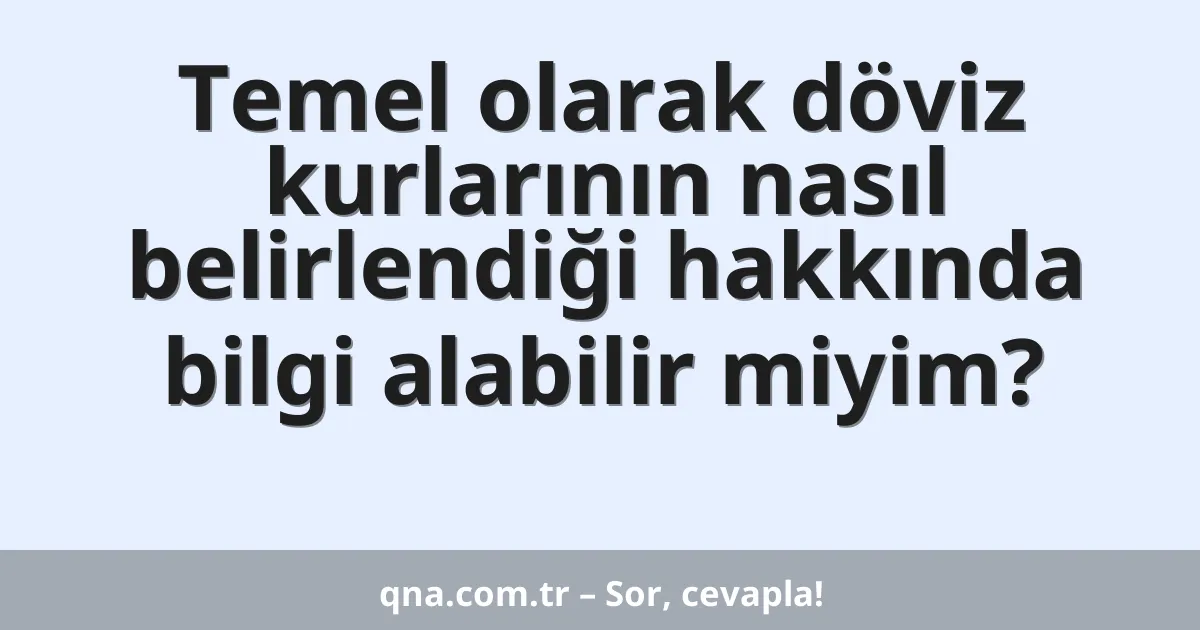 Temel olarak döviz kurlarının nasıl belirlendiği hakkında bilgi alabilir miyim?