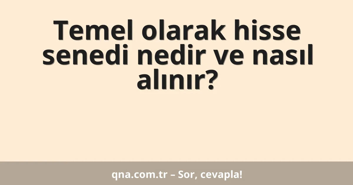 Temel olarak hisse senedi nedir ve nasıl alınır?