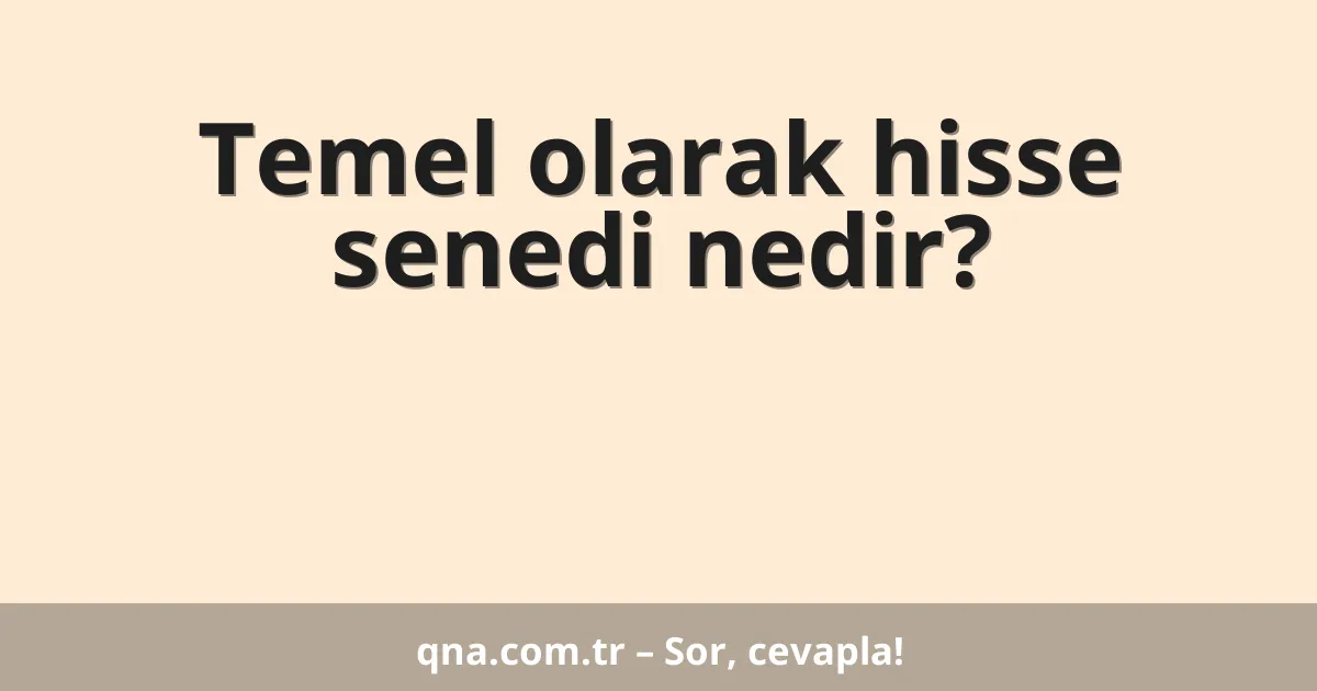 Temel olarak hisse senedi nedir?