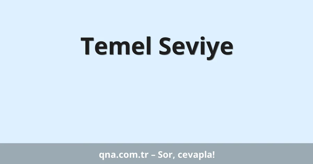 Temel Seviye