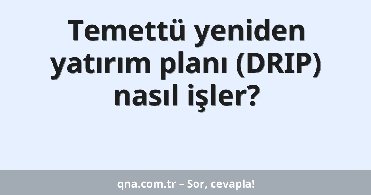 Temettü yeniden yatırım planı (DRIP) nasıl işler?